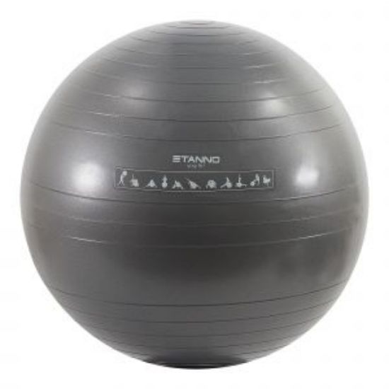 Afbeeldingen van Stanno Exercise Ball